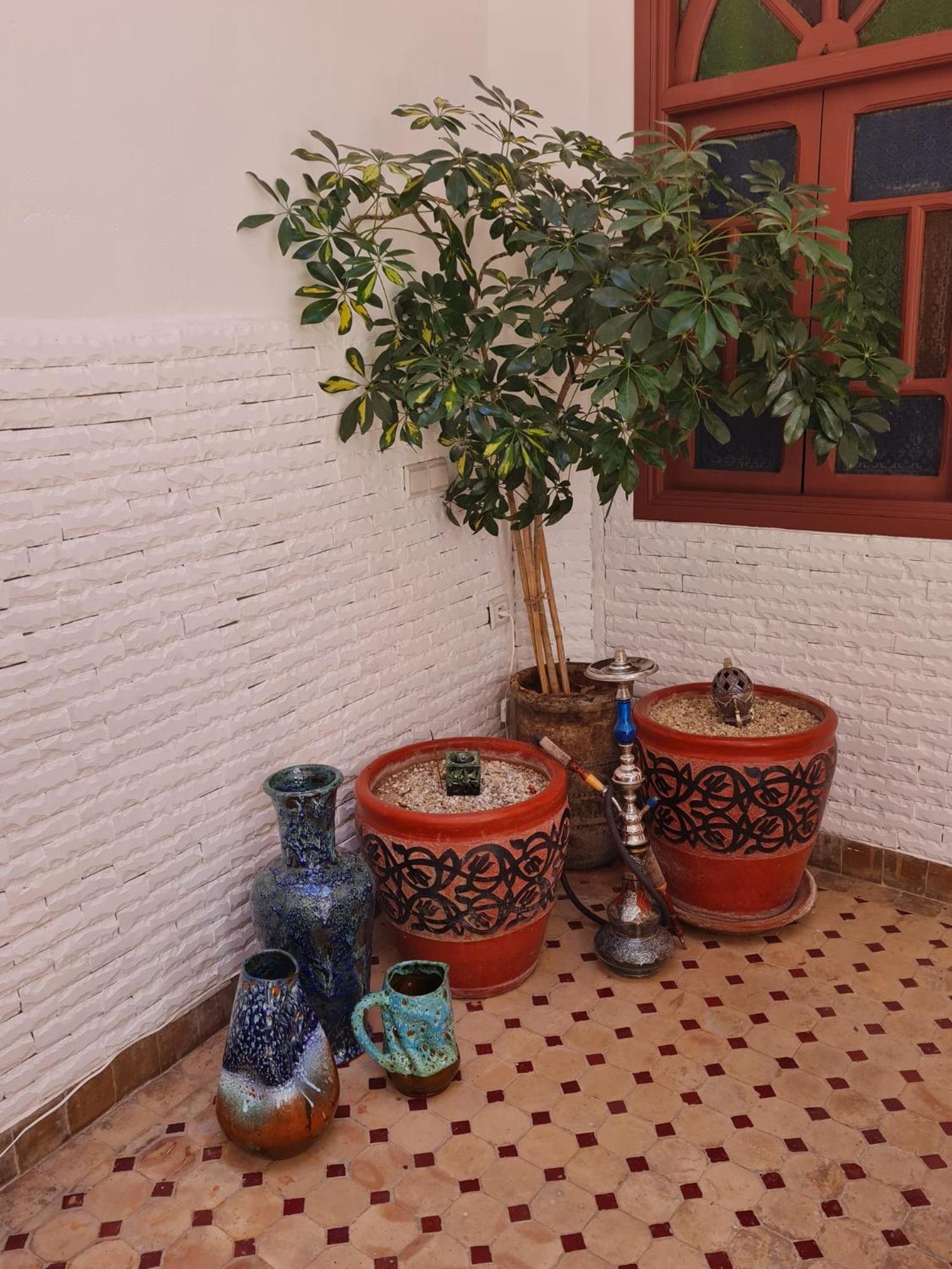 Riad Dantella Marrakesh Bagian luar foto