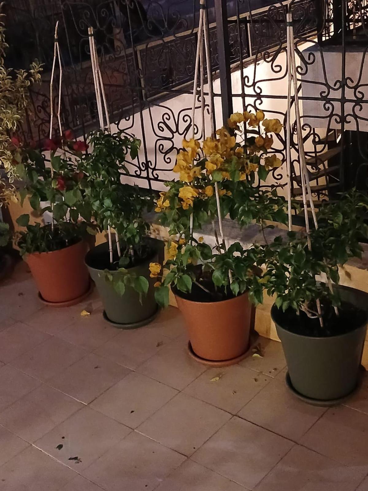 Riad Dantella Marrakesh Bagian luar foto